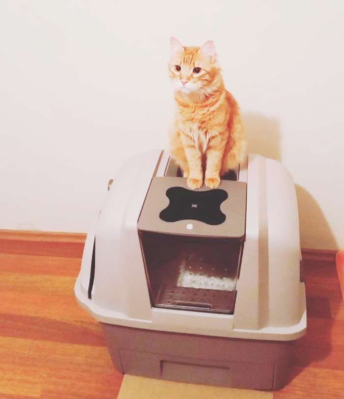 Cat It CA Smart Sift Kattentoilet Incl 4 Afvalzakken - Stil & Handmatig Zelfreinigend